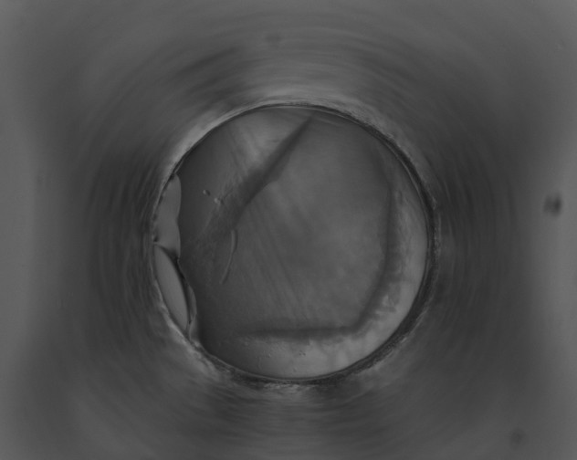 X0000091201529200708301550