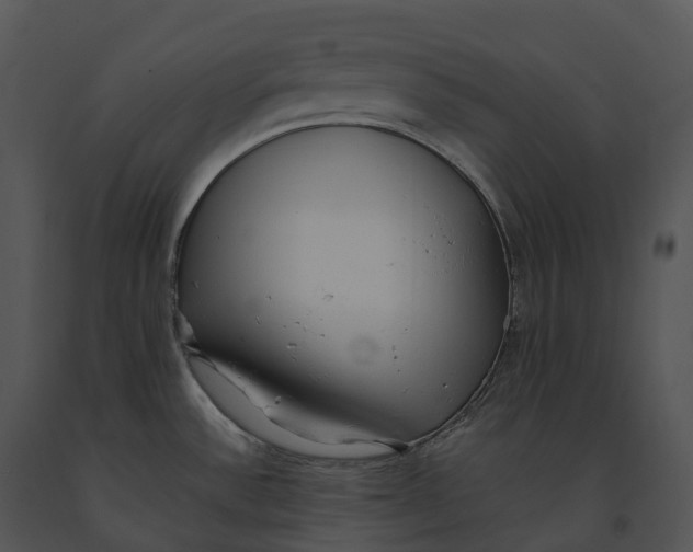 X0000091201532200708301550