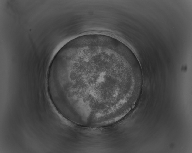 X0000091201533200708301550