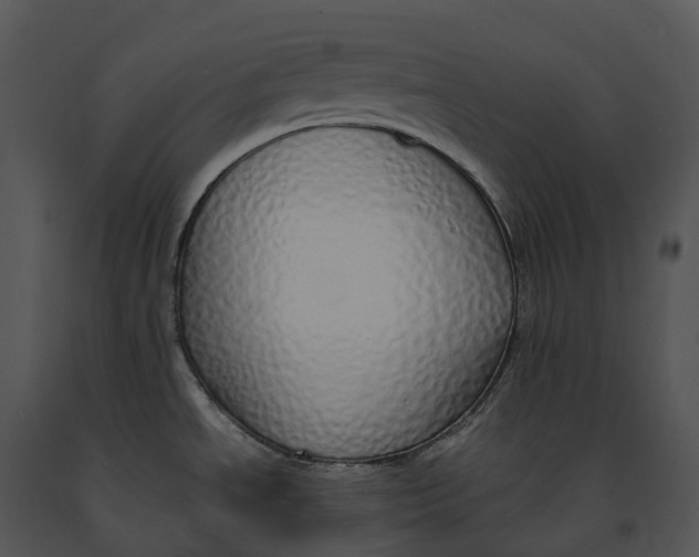 X0000091201534200708301550
