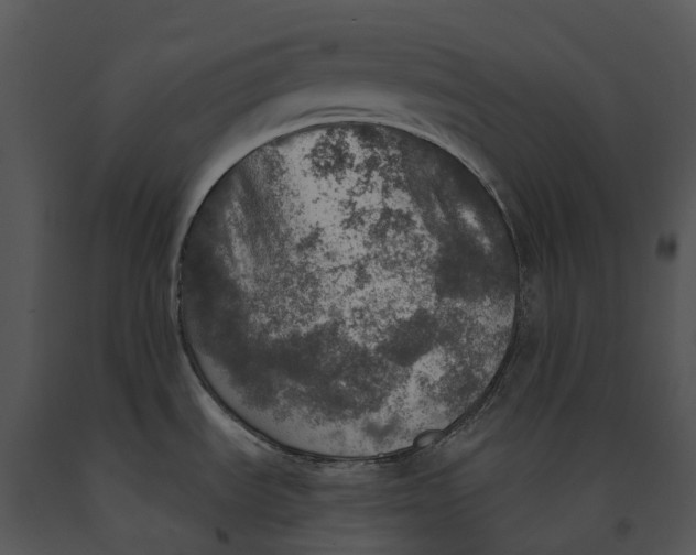 X0000091201535200708301550