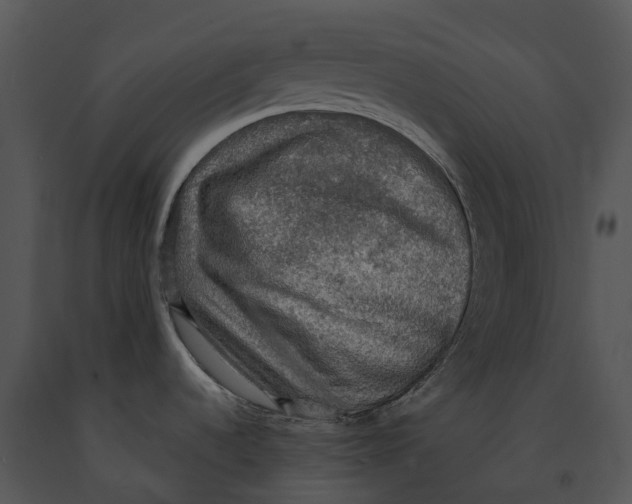 X0000091201536200708301550