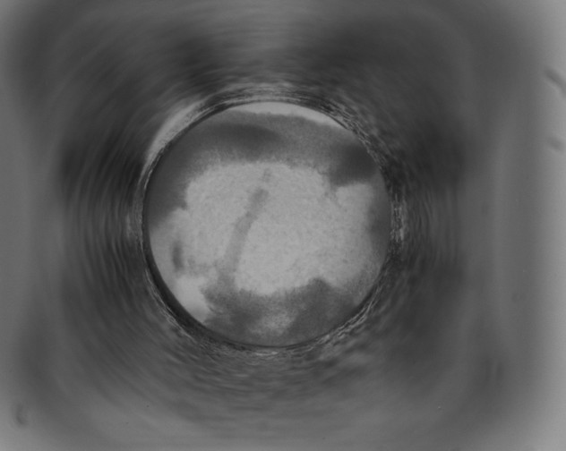 X0000091200004200709061422