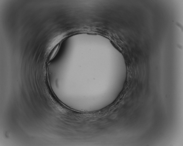 X0000091200005200709061422