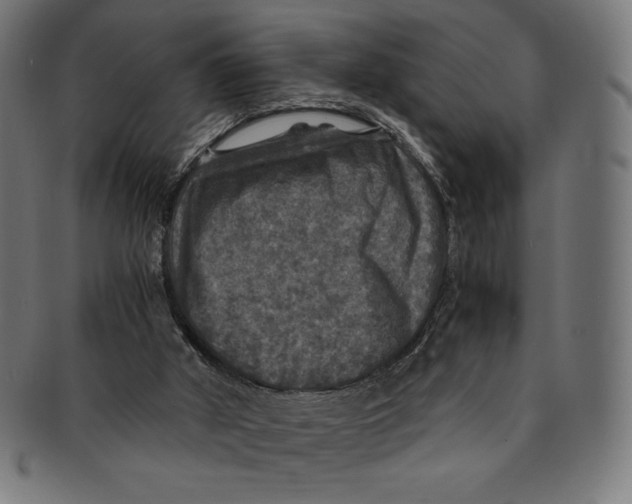 X0000091200010200709061422
