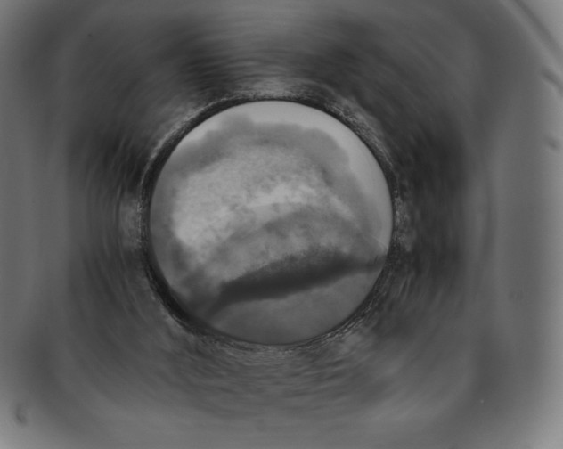X0000091200012200709061422