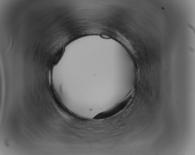 X0000091200013200709061422