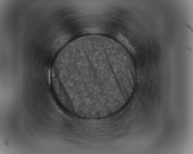 X0000091200014200709061422