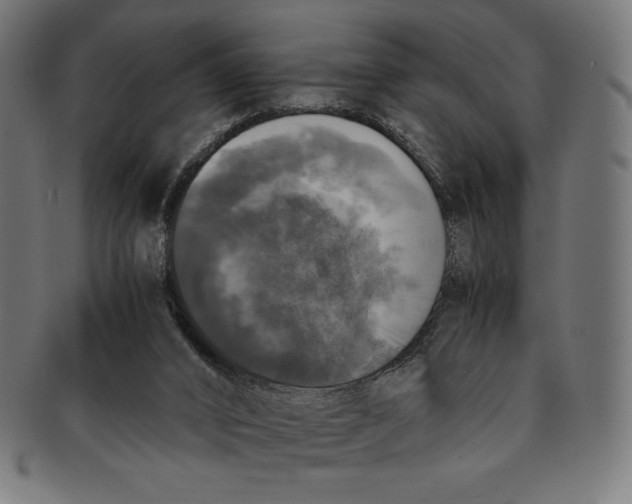 X0000091200016200709061422