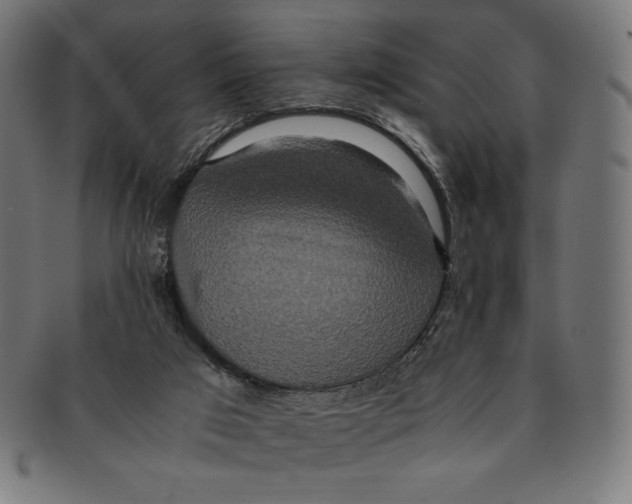 X0000091200017200709061422