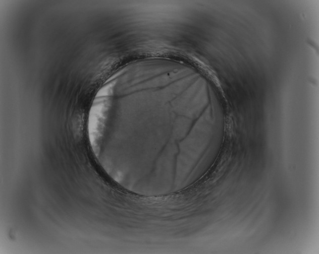 X0000091200018200709061422