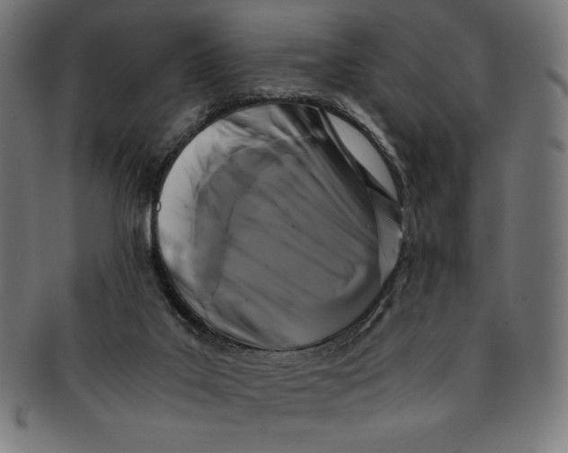 X0000091200019200709061422