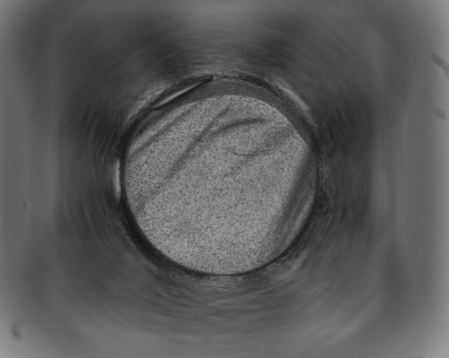 X0000091200020200709061421