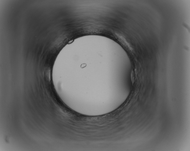 X0000091200021200709061421