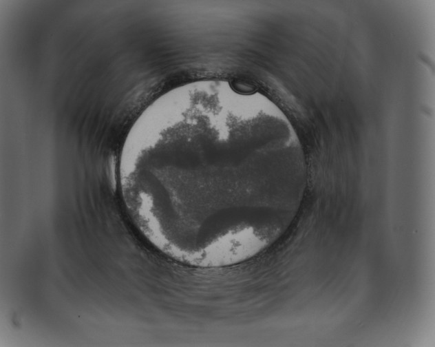 X0000091200022200709061421