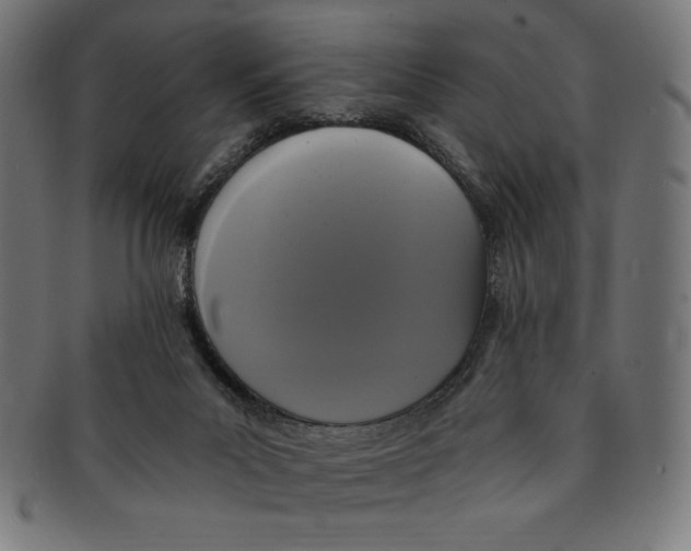 X0000091200023200709061421