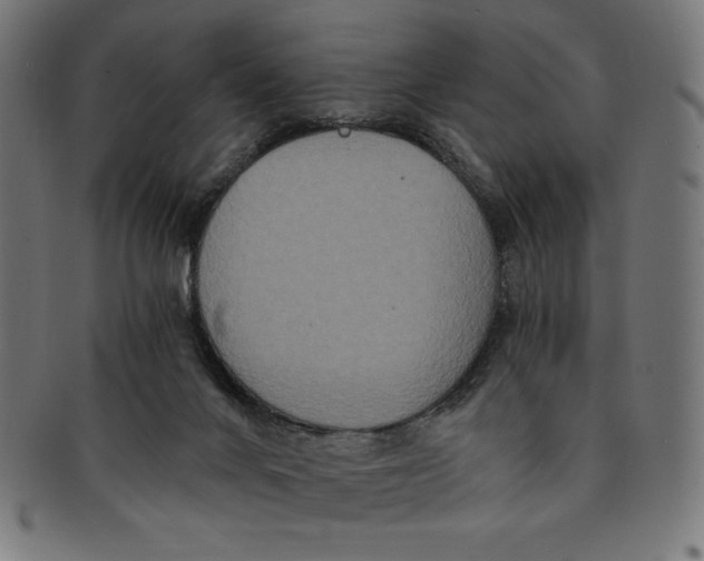 X0000091200024200709061421