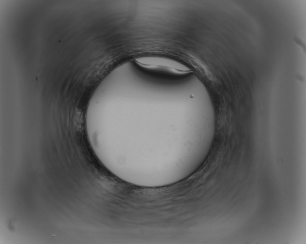 X0000091200025200709061421