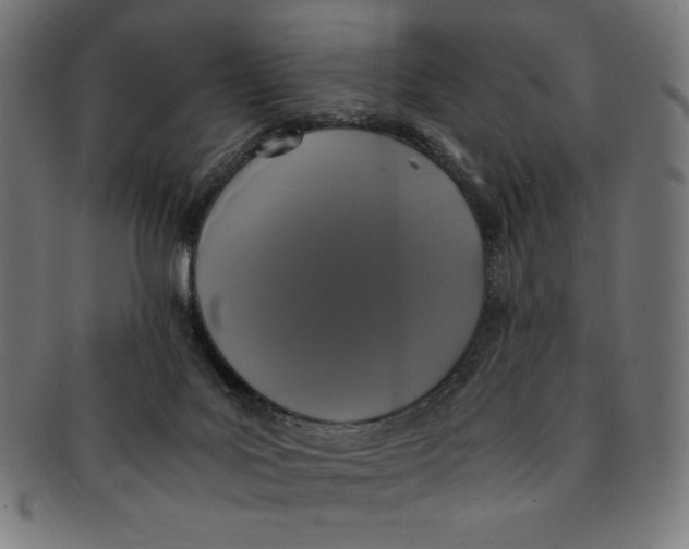 X0000091200027200709061421
