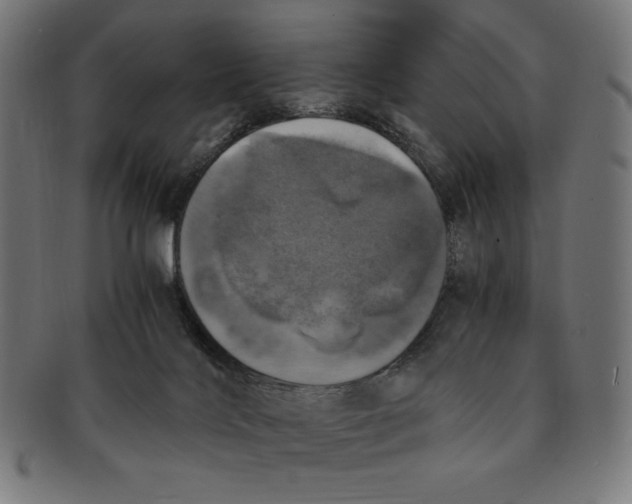 X0000091200028200709061421