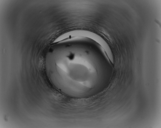 X0000091200029200709061421