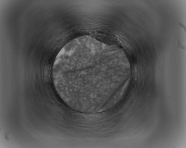 X0000091200030200709061421