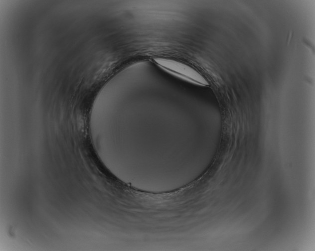 X0000091200031200709061421