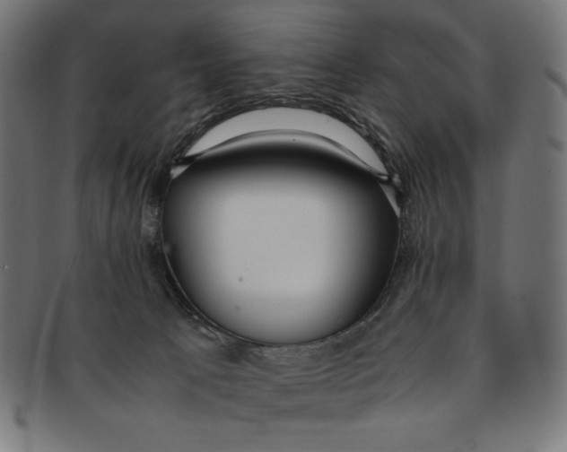 X0000091200033200709061421