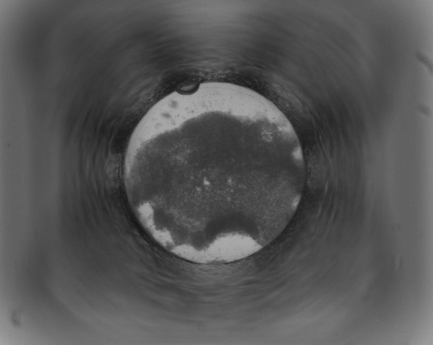 X0000091200034200709061421