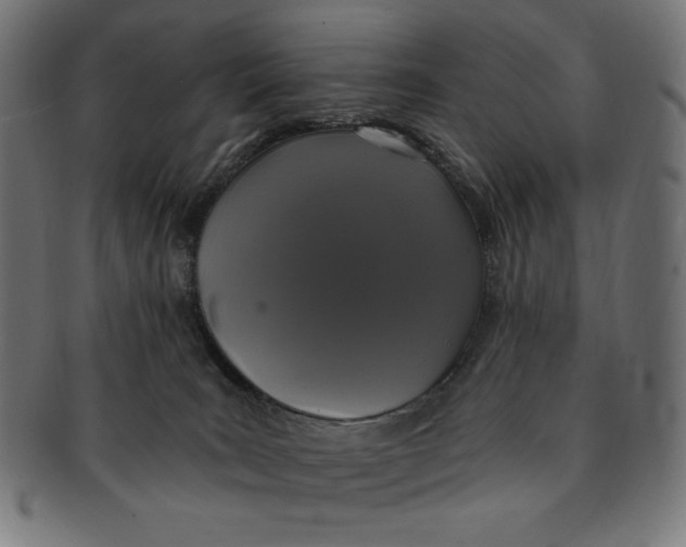 X0000091200035200709061421