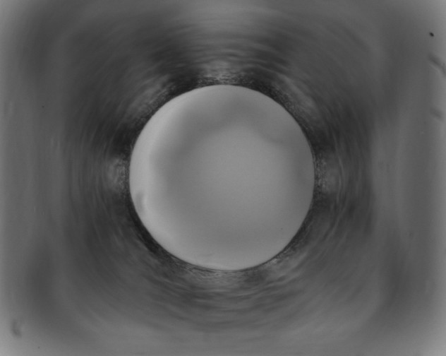 X0000091200036200709061421