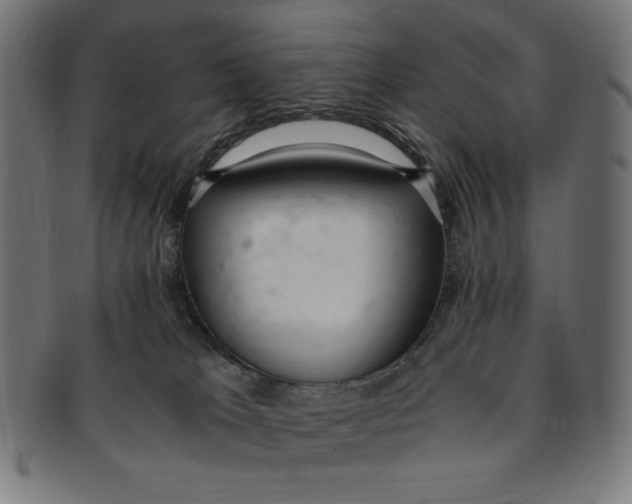 X0000091200037200709061421