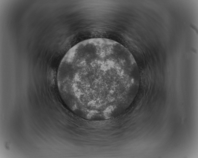 X0000091200038200709061421