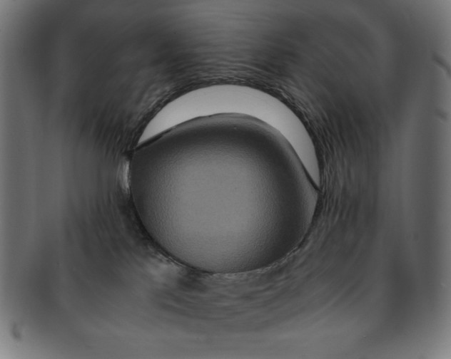 X0000091200041200709061421
