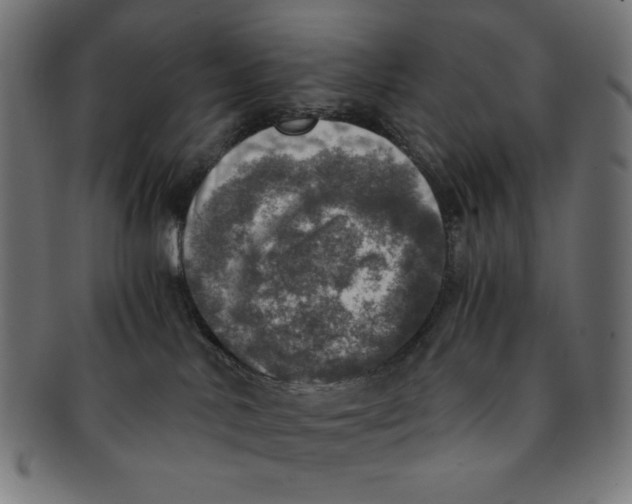 X0000091200042200709061421
