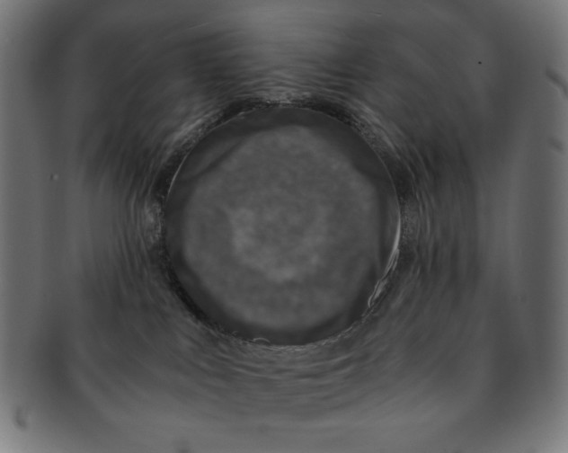 X0000091200043200709061421