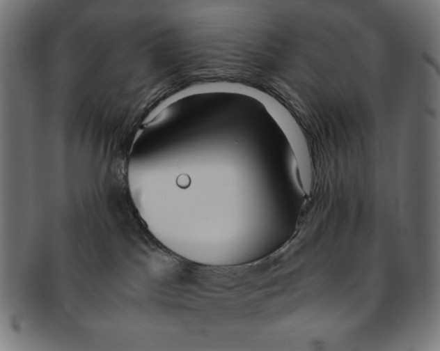 X0000091200045200709061421