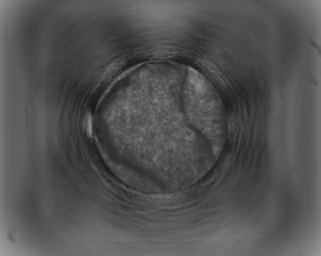 X0000091200046200709061421