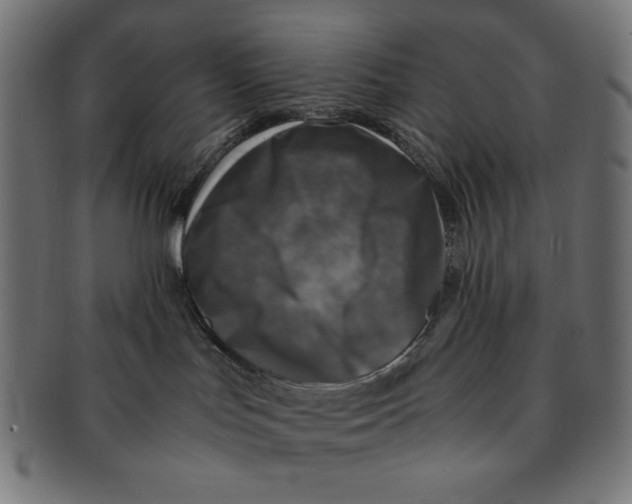 X0000091200047200709061421