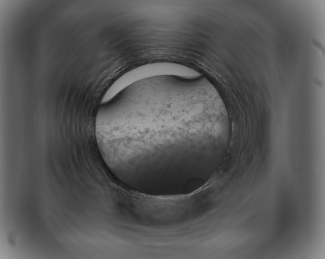 X0000091200048200709061421