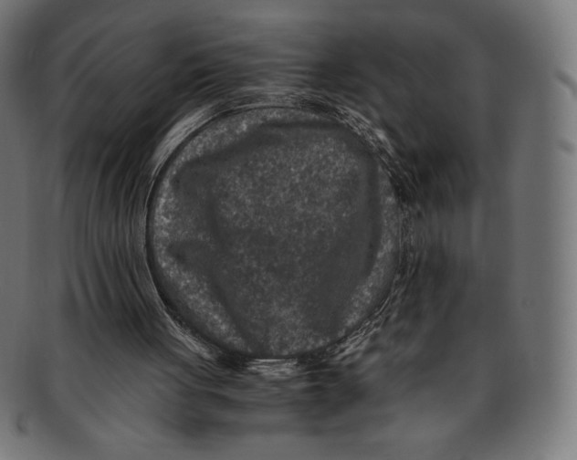 X0000091200051200709061421