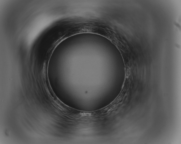 X0000091200052200709061421