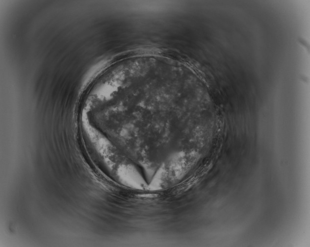 X0000091200053200709061421