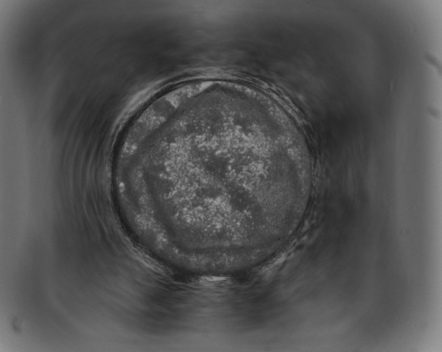 X0000091200055200709061421
