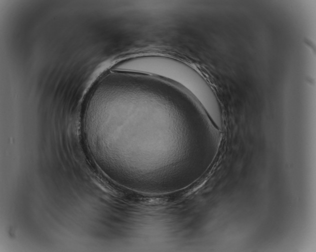 X0000091200056200709061421