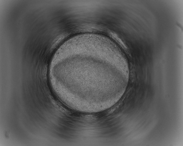 X0000091200058200709061421