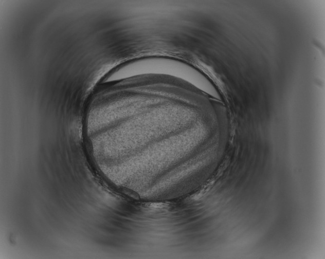 X0000091200060200709061421