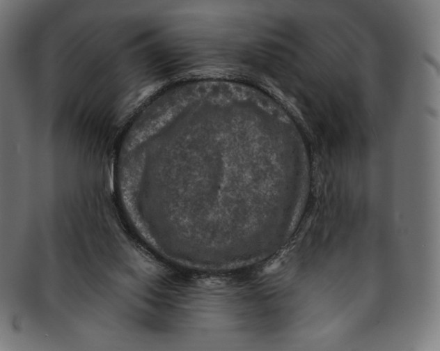 X0000091200062200709061421