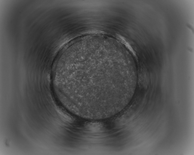 X0000091200063200709061421