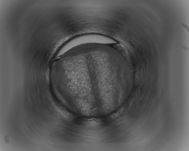 X0000091200064200709061421